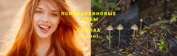 твердый Алзамай