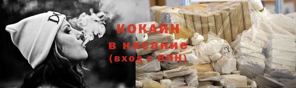 твердый Алзамай