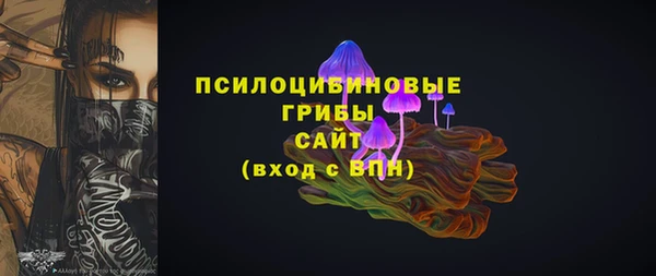 твердый Алзамай