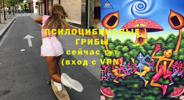 сатива Алексин