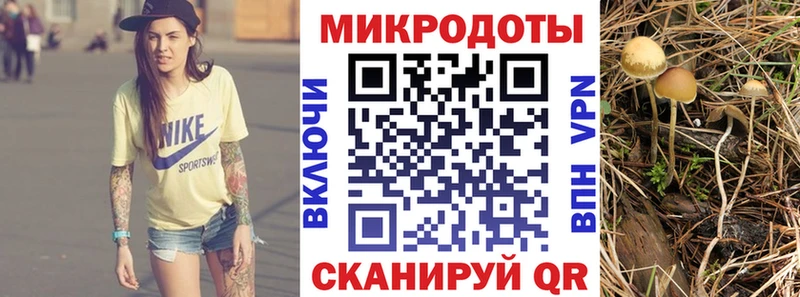 Псилоцибиновые грибы прущие грибы  Великие Луки 